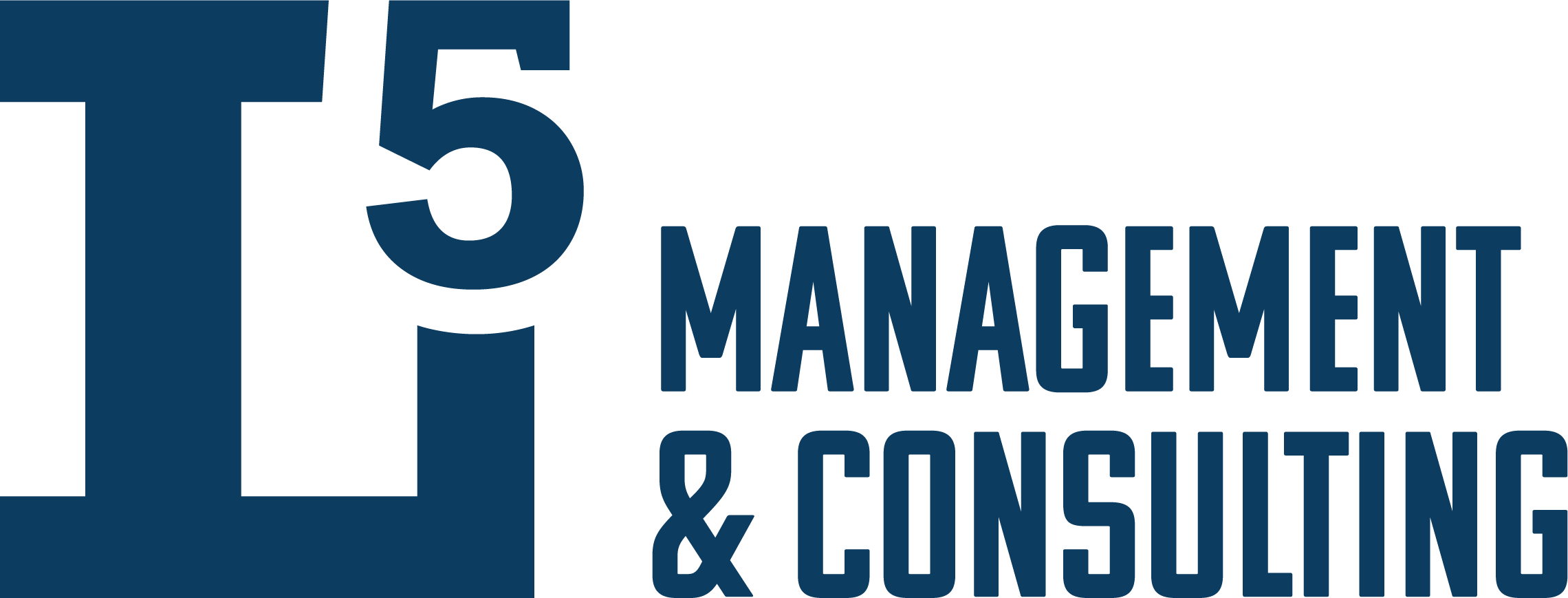 L5 Management & Consulting